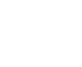 ico_ergo