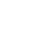 ico_ergo